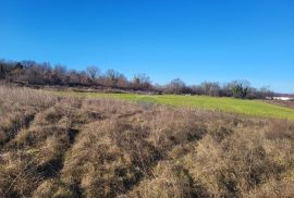 Istra, Barban, građevinsko zemljište industrijske namjene, Barban, Land