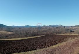 Pothum Plaščanski, zemljište 98000 m2, Plaški, Tierra