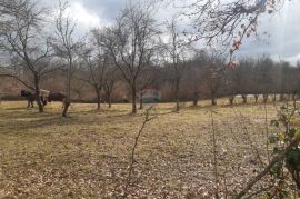 Istra, Žminj prekrasna građevinska parcela, Žminj, Land