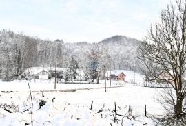 Gornja Pušća, kuća s više stanova, mogućnost opg-a, Pušća, Дом