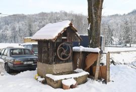 Gornja Pušća, kuća s više stanova, mogućnost opg-a, Pušća, Σπίτι