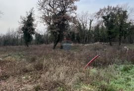 Sveti Lovreč - okolica, građevinsko zemljište u mirnom mjestu, Sveti Lovreč, Zemljište