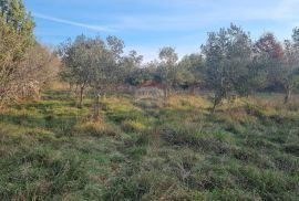 Pula,Krnica, poljoprivredno zemljište od 1309m2, Marčana, Terrain