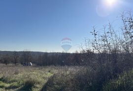 Vrsar okolica, poljoprivredno zemljište, Vrsar, Terreno