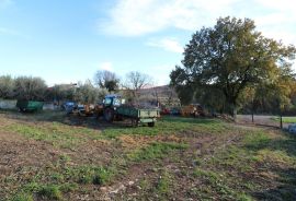 POREČ-građevinska parcela na rubu građevinske zone, Poreč, Tierra