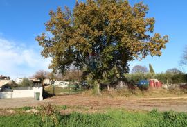 POREČ-građevinska parcela na rubu građevinske zone, Poreč, Tierra