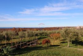 VIŠNJAN-kuća s panoramskim pogledom na more, Višnjan, Kuća