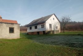 Ogulin-okolica, imanje na parceli 19000 m2, Josipdol, Kuća