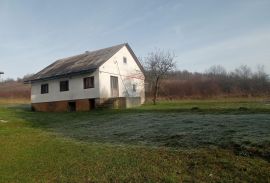 Ogulin-okolica, imanje na parceli 19000 m2, Josipdol, Kuća