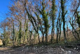 Tinjan - okolica , poljoprivredno zemljište na kraju sela, Tinjan, Terreno