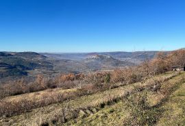 Motovun - okolica, građevinsko-poljoprivredno zemljište predivnog otvorenog pogleda, Pazin - Okolica, Tierra