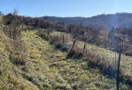 Motovun - okolica, građevinsko-poljoprivredno zemljište predivnog otvorenog pogleda, Pazin - Okolica, Tierra