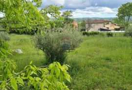 Kaštelir: Lijepo građevinsko zemljište na brijegu s pogledom na more, Kaštelir-Labinci, Terrain