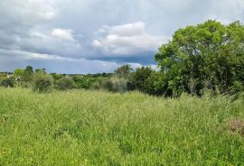 Kaštelir: Lijepo građevinsko zemljište na brijegu s pogledom na more, Kaštelir-Labinci, Terrain