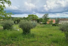 Kaštelir: Lijepo građevinsko zemljište na brijegu s pogledom na more, Kaštelir-Labinci, Terrain