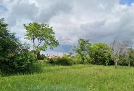 Kaštelir: Lijepo građevinsko zemljište na brijegu s pogledom na more, Kaštelir-Labinci, Terrain