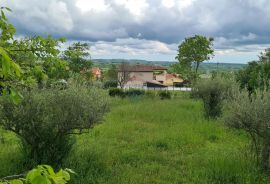 Kaštelir: Lijepo građevinsko zemljište na brijegu s pogledom na more, Kaštelir-Labinci, Terrain