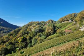 Klet sa predivnim pogledom, Jesenje, Kuća