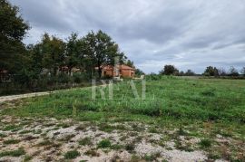 ŽMINJ-ZEMLJIŠTE S GRAĐEVINSKOM DOZVOLOM ZA VILU S BAZENOM, Žminj, Land