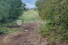 Istra, Svetvinčenat - građevinsko zemljište 503 m2 s privatnim putem, blizina infrastrukture, Svetvinčenat, Γη