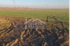 Zemun - Batajnica - 61.56a ID#23133, Zemun, Land