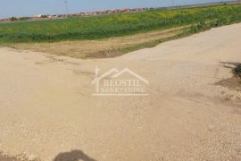 Zemun - Batajnica - 61.56a ID#23133, Zemun, Land