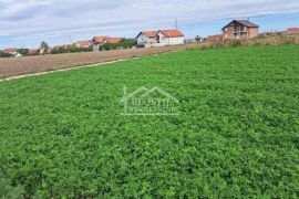 Zemun - Batajnica - 61.56a ID#23133, Zemun, Land