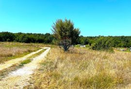 Poljoprivredna parcela,Novigrad, Novigrad, Земля