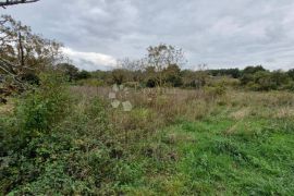 Veliko građevinsko zemljište u okolici Žminja, Žminj, Land