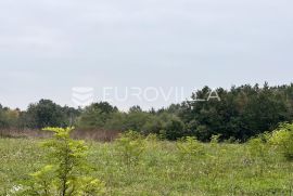 Istra, Žminj - građevinsko zemljište 500 m2 s ishodovanom građevinskom dozvolom, Žminj, Terrain