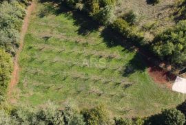 PARCELA ZA MALU KUĆU S PROSTRANOM OKUĆNICOM, Višnjan, Terreno