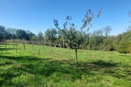 PARCELA ZA MALU KUĆU S PROSTRANOM OKUĆNICOM, Višnjan, Terrain