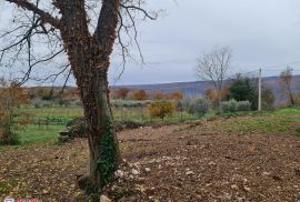 LABIN, MARTINSKI, GRAĐEVINSKO ZEMLJIŠTE, Sveta Nedelja, Terra