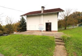 Vukovo selo, kuća s bazenom i velikom okućnicom, 209m2, Brdovec, بيت