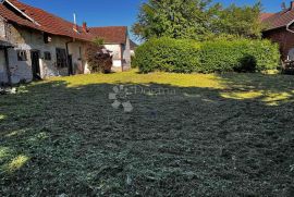 KUĆA ZA RUŠENJE I VELIKO GRAĐEVINSKO ZEMLJIŠTE, Prelog, House