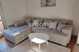 Zemun, Kalvarija, Mozerova, 0.5, 25m2, Zemun, Apartamento