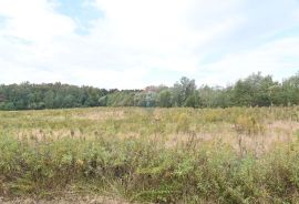 Jastrebarsko, Kupinec, građevinsko zemljište 7000 m2, Klinča Sela, Land