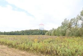 Jastrebarsko, Kupinec, građevinsko zemljište 7000 m2, Klinča Sela, Земля