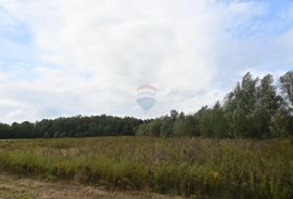 Jastrebarsko, Kupinec, građevinsko zemljište 7000 m2, Klinča Sela, أرض