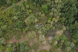 Istra, Poreč, poljoprivredno zemljište uz prometnicu, Poreč, Land