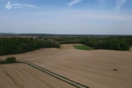 ZEMLJIŠTE - KOZARSKA DUBICA - 105.000 m2, Kozarska Dubica, Terreno