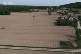 ZEMLJIŠTE - KOZARSKA DUBICA - 105.000 m2, Kozarska Dubica, Zemljište