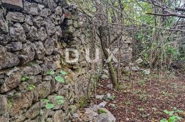 TRŽIČ TOUNJSKI-Imanje, 63 064 m2, s kućom i gospodrskim objektima, Tounj, Terra