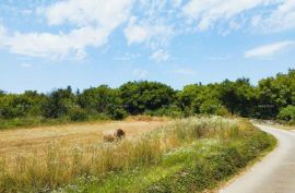 Građevinsko zemljište Prodaje se građevinsko zemljište, 504 m2, vile s bazenom u općini Svetvinčenat, Svetvinčenat, Tierra