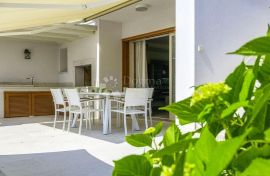 Atraktivna vila u Novigradu, Novigrad, Casa