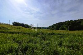 Građevinsko zemljište s potencijalom, Selnica, Terrain