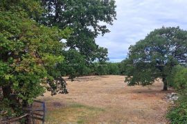 Građevinsko zemljište Prodaja građevinskog zemljišta, Kanfanar, Kanfanar, Tierra