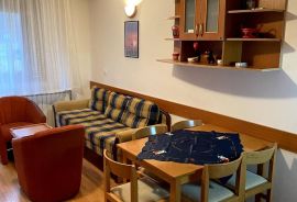 Vila Bjanka apartman, Raška, Wohnung