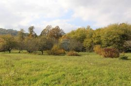 Stara istarska kuća za adaptaciju sa 28000m2 zemljišta, Pazin - Okolica, House