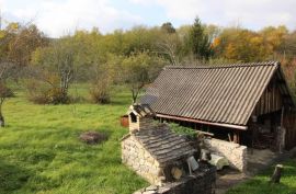 Stara istarska kuća za adaptaciju sa 28000m2 zemljišta, Pazin - Okolica, House